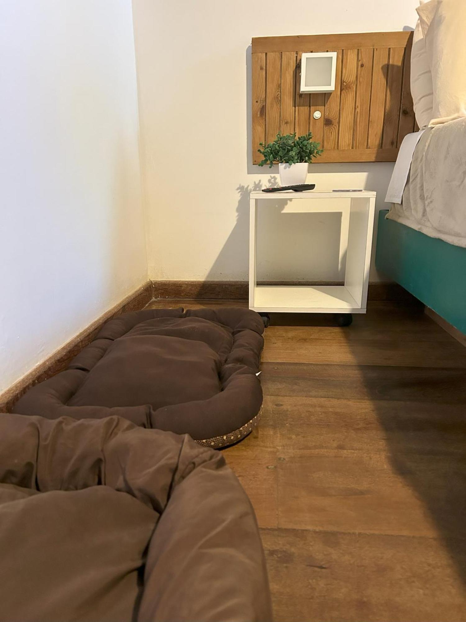 Pitaya Suites Cunha Ngoại thất bức ảnh